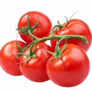 BUNCH TOMATO (per kg)