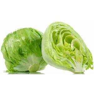 LECHUGA ICEBERG