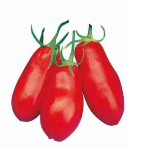 POMODORO SAN MARZANO (al kg)