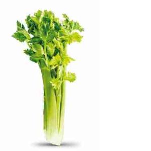 CELERY (per kg)