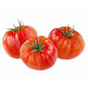 RIBBED TOMATO (per kg)