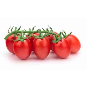 POMODORO PICCADILLY II (al kg)