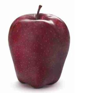 ROYAL GALA APPLE I PAN (per kg)