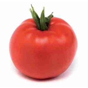 SMOOTH ROUND TOMATO (per kg)