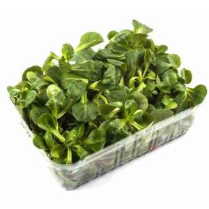 GEDREHTER RUCOLA 70 GR