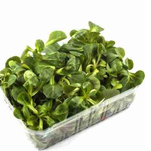 VALERIANA TORNESE 80 GR