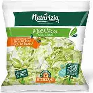 INS.ICEBERG NATURIZIA 250 GR