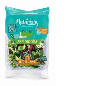 INS.ICEBERG NATURIZIA 150 GR