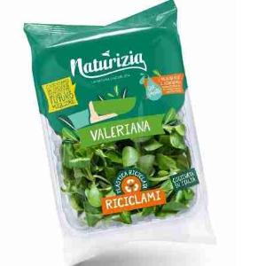 NATURAL VALERIAN INS. 60 GR