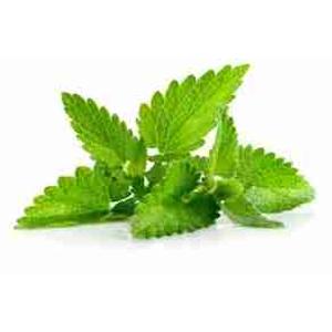 MENTHE NATURELLE 30 GR