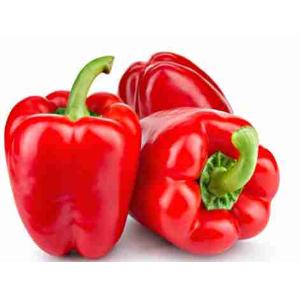 REGGIANO PEPPER (per kg)