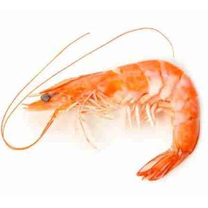 CREVETTES TROPICALES 4L (8,5-9 CM) HANABI 30 PCS