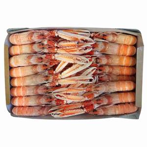 SCAMPI PORCUPINE 15-20 3 KG