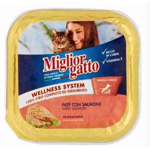 PATE'GATTO SALMON BEST CAT 100 GR