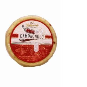 FATTORIA DELLA PIANA CAMPAGNOLO KÄSE (pro kg)