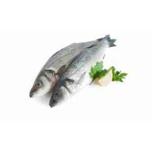 WHOLE SEA BASS 300/400 PER KG FRESH (per kg)