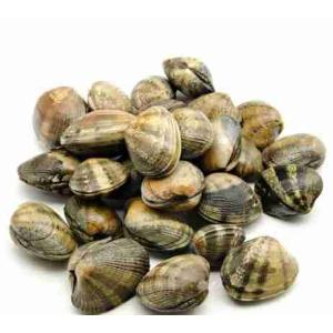 CLAMS (per kg)