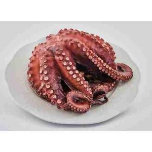 WHOLE COOKED OCTOPUS T6 (per kg)