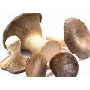 CARDONCELLO MUSHROOMS BELMONTE 314 ML