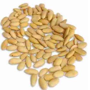 AMANDES COQUÉES 23/25 CALIFORNIE (le kg)