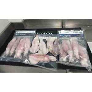 DIRTY INDIOPACIFIC SQUID WOFCO BAG 1 KG