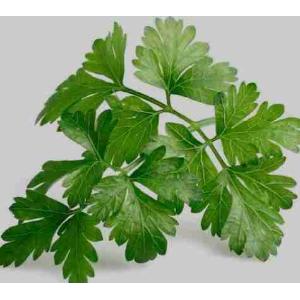 PARSLEY TORNESE 100 GR