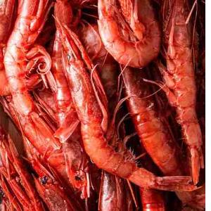 ROTE GARNELEN I°18/22 1 KG