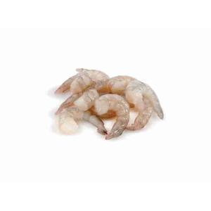 SHELLED TROPICAL PRAWN 21/30 WOFCO 1 KG