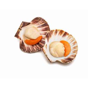 SCALLOP HALF SHELL (per kg)