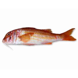 MUDRED RED MULLET I (per kg)