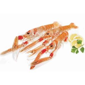 GANZE PORCUPINE SCAMPI 30/40 (pro kg)