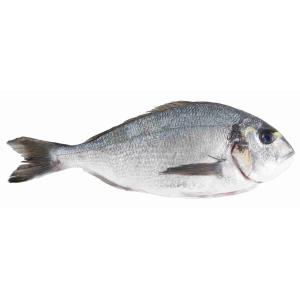 FRESH SEA BREAM (per kg)