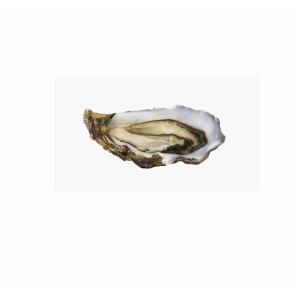 DIAMANTOR CONCAVE OYSTER (pro kg)