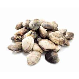 LUPINO CLAMS (per kg)