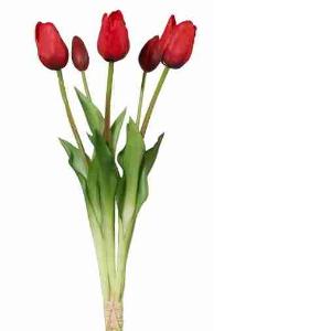 BOUQUET DE TULIPES ROUGES 5 PCS