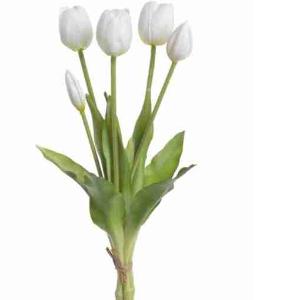 BOUQUET DE TULIPES BLANCHES 5 PCS