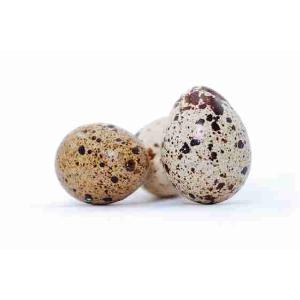 AIA QUAIL EGGS 18 PCS