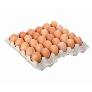 LARGE LOOSE EGGS AIA 180 PCS