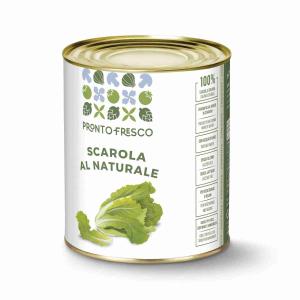 NATURAL ESCAROLE WITH SEA WATER GRECI 780 GR