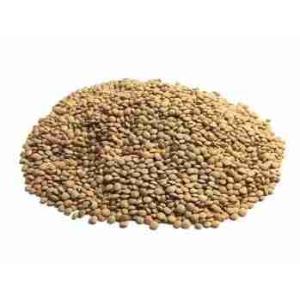 SMALL LENTILS (per kg)