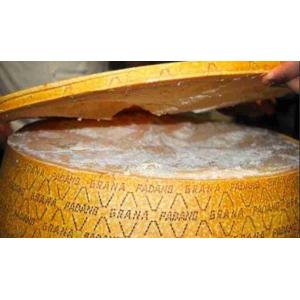 GRANA PADANO CEREMONIA CORTE 16 KG (por kg)