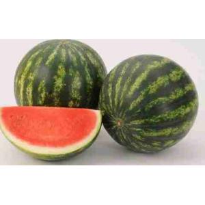 WATERMELON OR.ITALIA II (per kg)