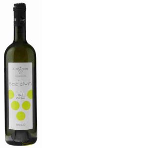 VINO BIANCO SEDICIVITI ALTOMONTE 75 CL