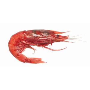 FRESH RED SHRIMP I (per kg)