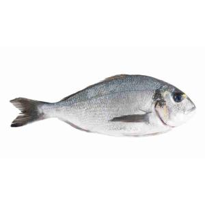 BREAM 1000/1500 POISSON FRAIS (par kg)