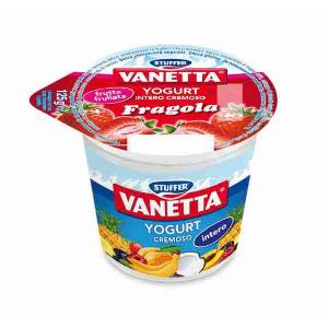 ASSORTIS DE CAISSES YAOURT VANETTA 125 GR x 20