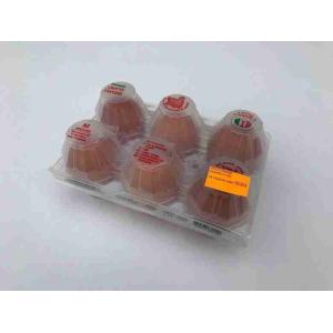 EIER KAT.XL PARISE PACK x 6