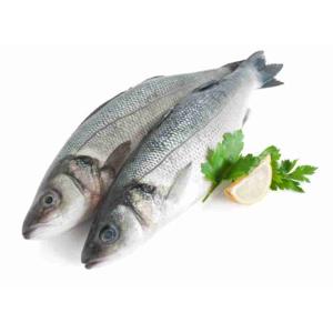 SEA BASS OR SEA BASS 800/1000 (per kg)