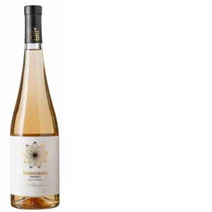 VINO BLANCO ZIBIBBO NARANJA BIENVENIDO 75 CL