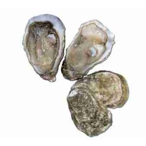 DELICATE CONCAVE OYSTER SARDINIA N°3 (per kg)